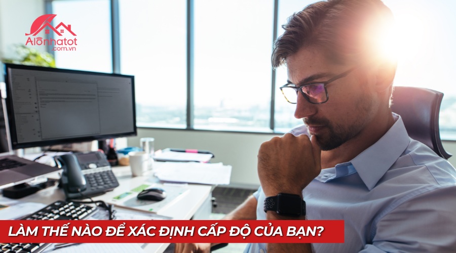 Tìm hiểu cấp độ đầu tư tài chính của bạn và cách tiến lên cùng Alo Nhà Tốt.