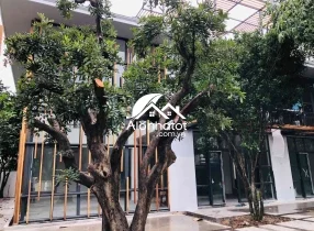 Bán biệt thự hẻm 40 Xuân Thủy Thảo Điền DT 383m2 Góc 2 mặt tiền