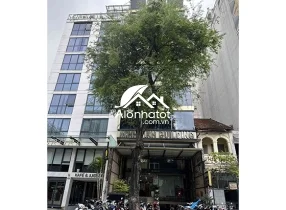 Bán tòa nhà 115-115A Võ Văn Tần Quận 3 Hầm 10 lầu DT 8x26 (210m2)
