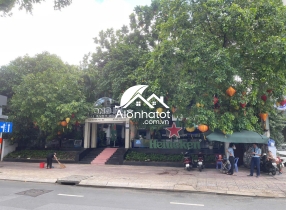 Bán Nhà MT 236 Pasteur Q3, 434m² (KV 603m²), Xây Cao Tầng