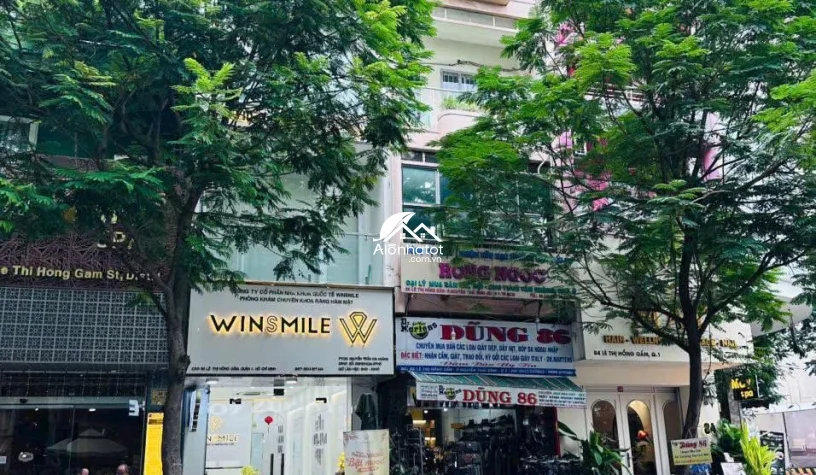 Bán Cặp Nhà MT 86 Lê Thị Hồng Gấm Q1, Gần Metro Bến Thành, 132m²
