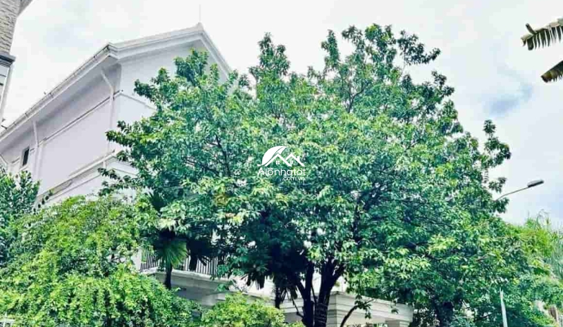Bán Biệt Thự 153/34 Nguyễn Văn Hưởng Thảo Điền | 352m² 2MT Trước Sau | 125 Tỷ 
