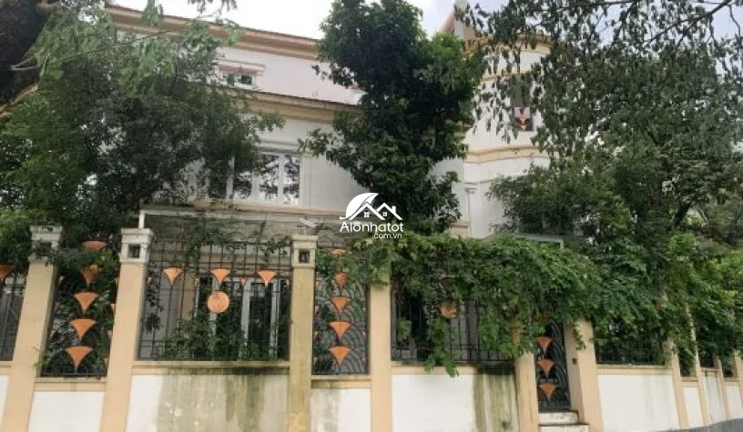 Bán Biệt thự đường 31B An Phú Quận 2 diện tích 16x20m