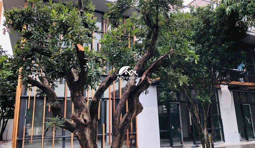 Bán biệt thự hẻm 40 Xuân Thủy Thảo Điền DT 383m2 Góc 2 mặt tiền