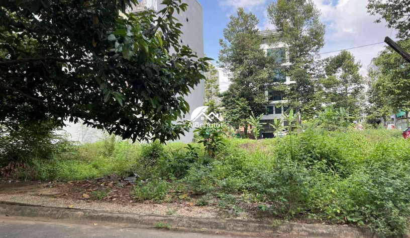Bán đất Tạ Hiện Dự Án Huy Hoàng Quận 2 DT 7,75x20m (155m2) 135tr/m2