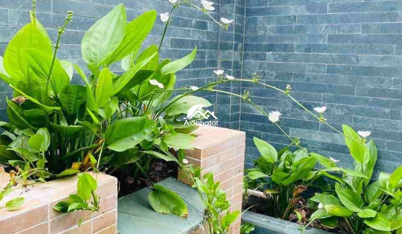 Bán Villa Đảo Kim Cương Mystery Hưng Thịnh 15x20 (296m2) Hầm 3 lầu